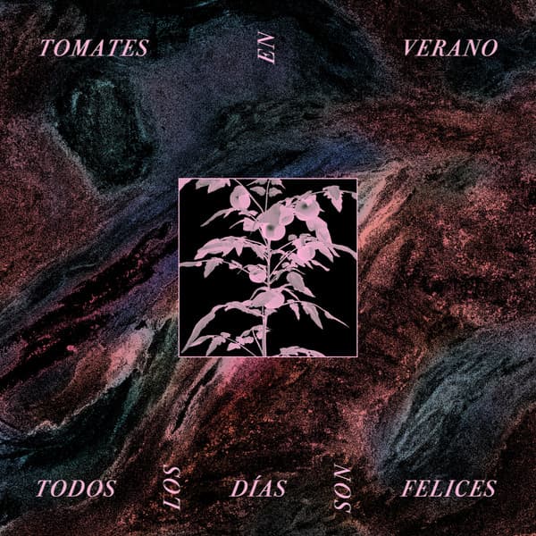 Tomates en Verano — Todos los Días son Felices