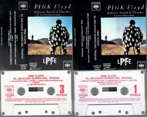 Pink Floyd — Delicate Sound Of Thunder = El Delicado Sonido Del Trueno