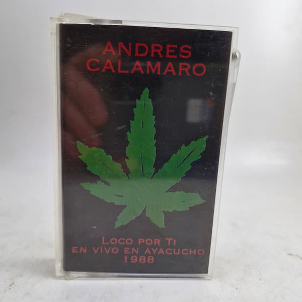 Andrés Calamaro — Loco Por Ti - En Vivo En Ayacucho 1988