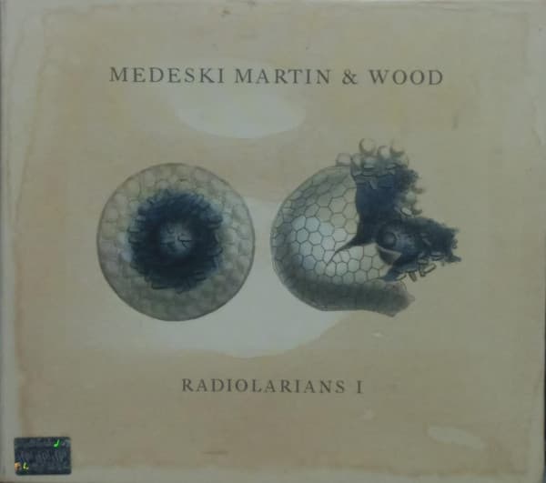 Medeski Martin & Wood — Radiolarians I