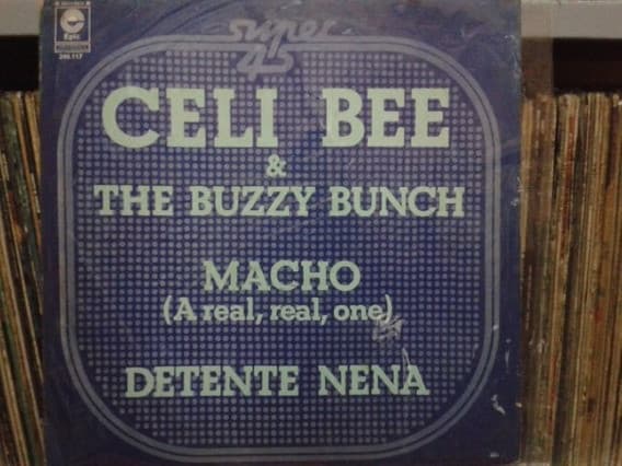 Celi Bee & The Buzzy Bunch — Macho (A Real, Real, One) - Detente Nena