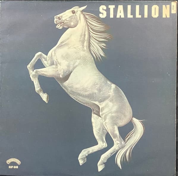 Stallion — Stallion
