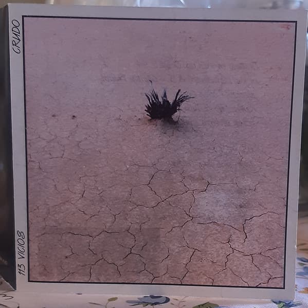113 Vicios — Crudo