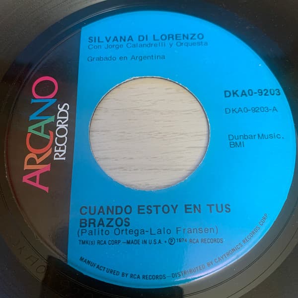 Silvana Di Lorenzo & Jorge Calandrelli Y Orquesta — Cuando Estoy En Tus Brazos
