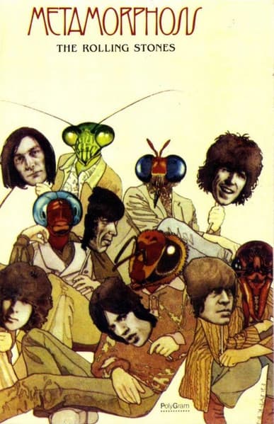 The Rolling Stones — Metamorphosis