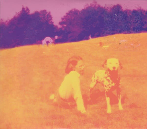 Eels — Blinking Lights And Other Revelations