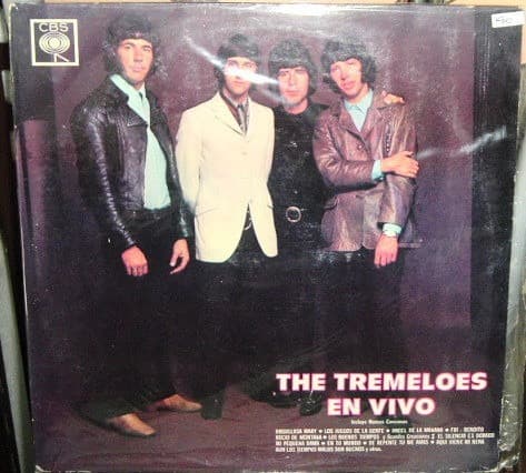 The Tremeloes — En Vivo