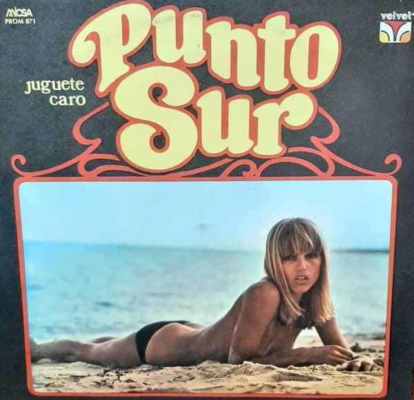 Punto Sur — Juguete Caro