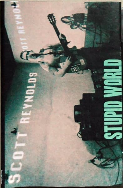 Scott Reynolds — Stupid World