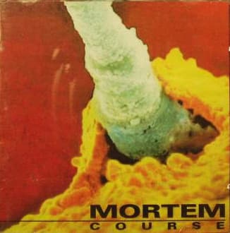 Mortem — Course