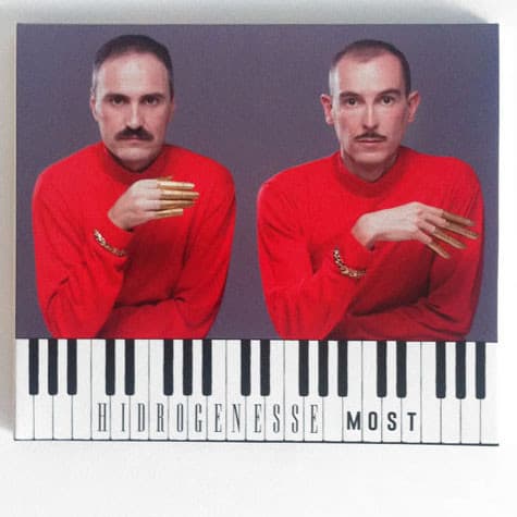Hidrogenesse — Most