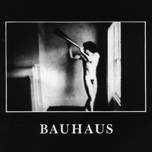 Bauhaus — In The Flat Field