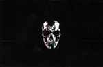 Bad Bunny — YHLQMDLG