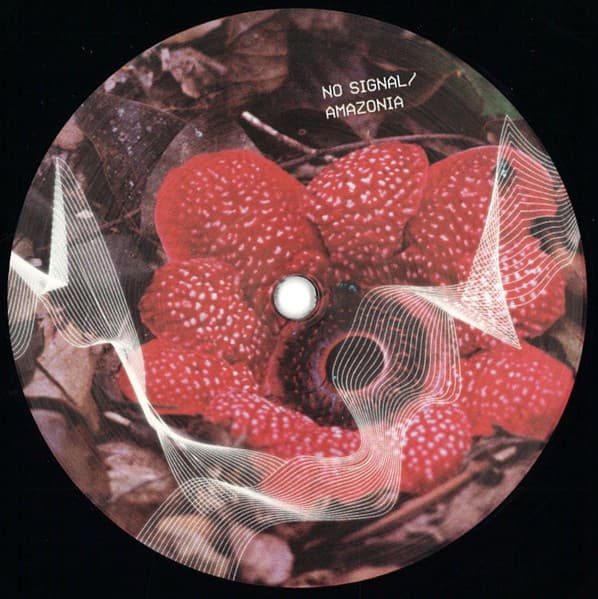 Various — No Signal/Amazonia