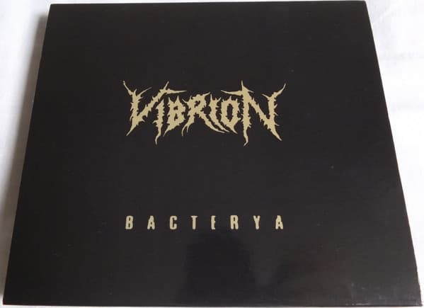Vibrion — Bacterya