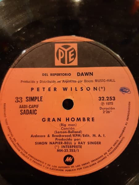 Peter Wilson — Gran Hombre / Descalzandose