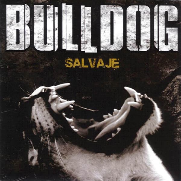 Bulldog — Salvaje