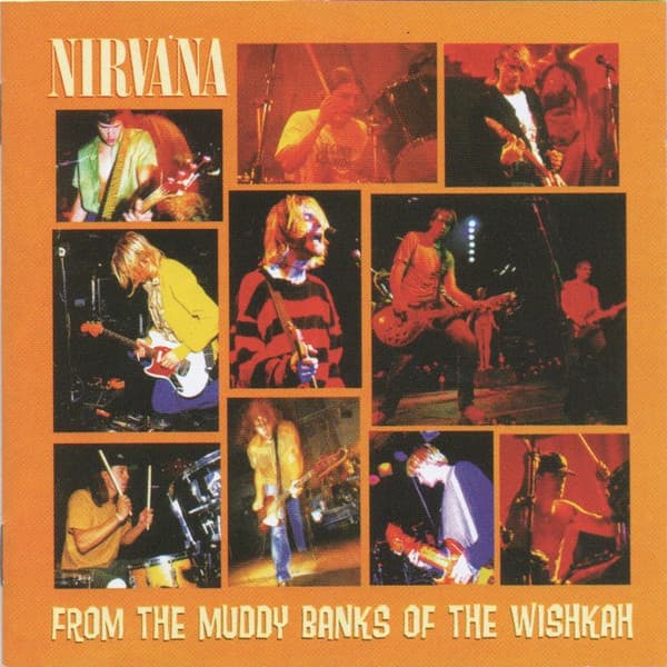 Nirvana — From The Muddy Banks Of The Wishkah
