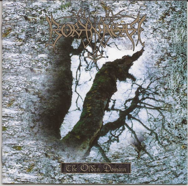 Borknagar — The Olden Domain