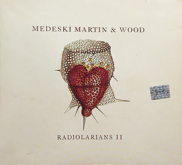 Medeski Martin & Wood — Radiolarians II