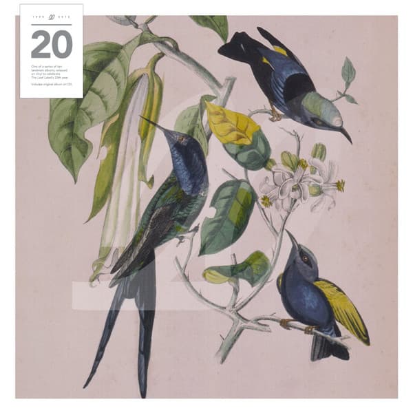 Susumu Yokota — Sakura