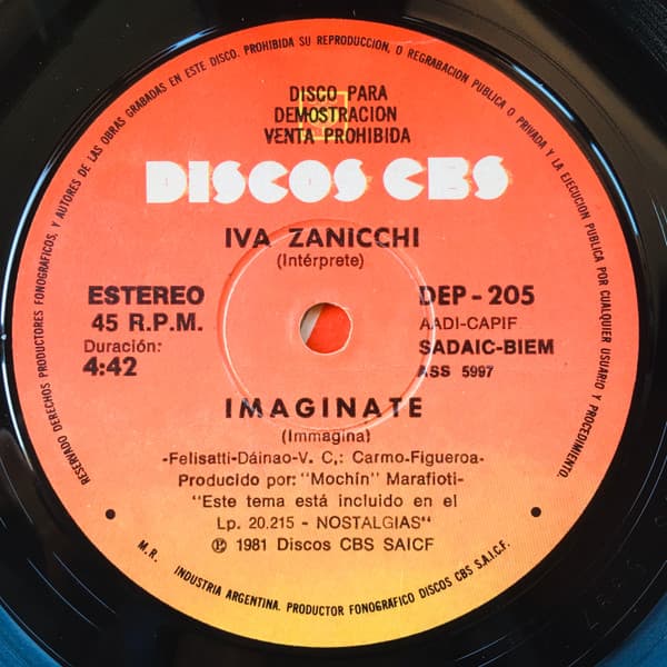 Iva Zanicchi — Imaginate