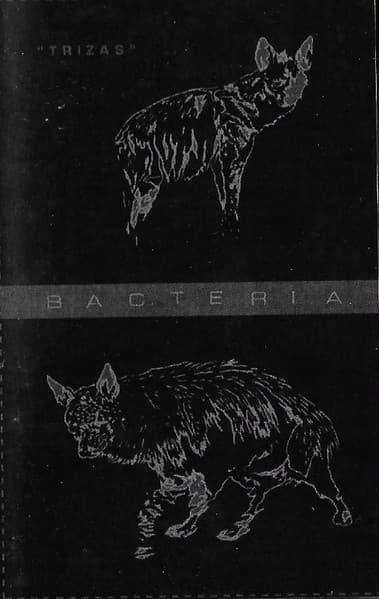 Bacteria — Trizas