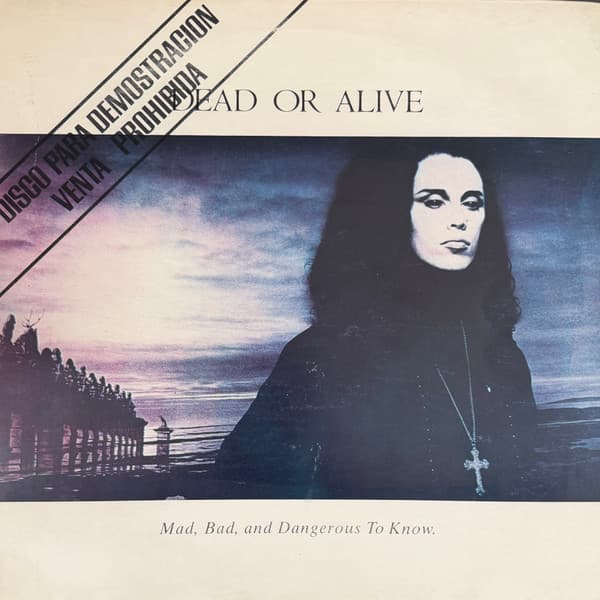Dead Or Alive — Mad, Bad And Dangerous To Know