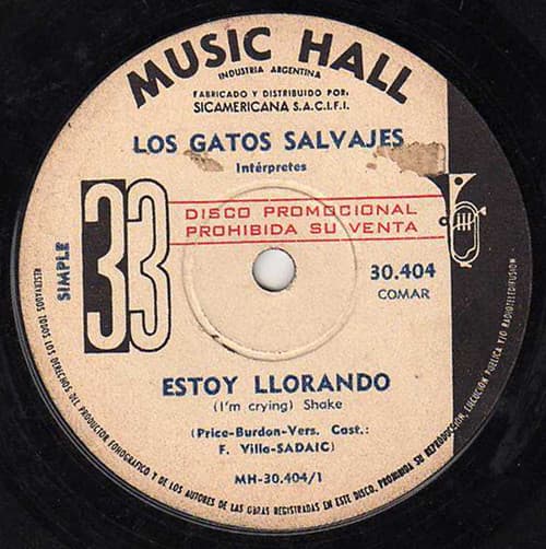 Los Gatos Salvajes — Estoy Llorando