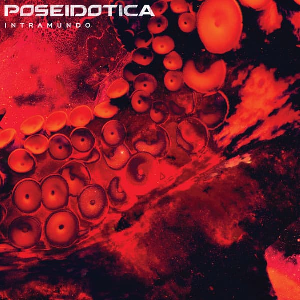 Poseidotica — Intramundo