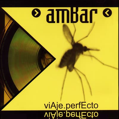 Ambar — Viaje Perfecto