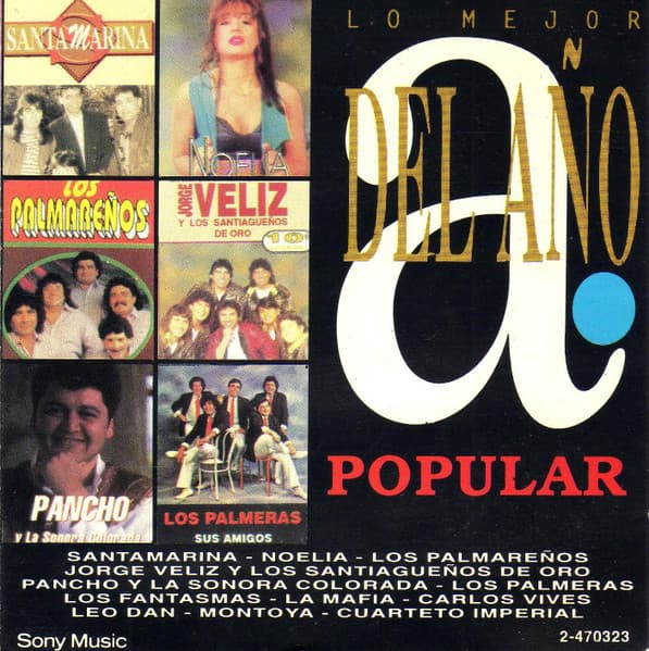 Various — Lo Mejor Del Año Popular