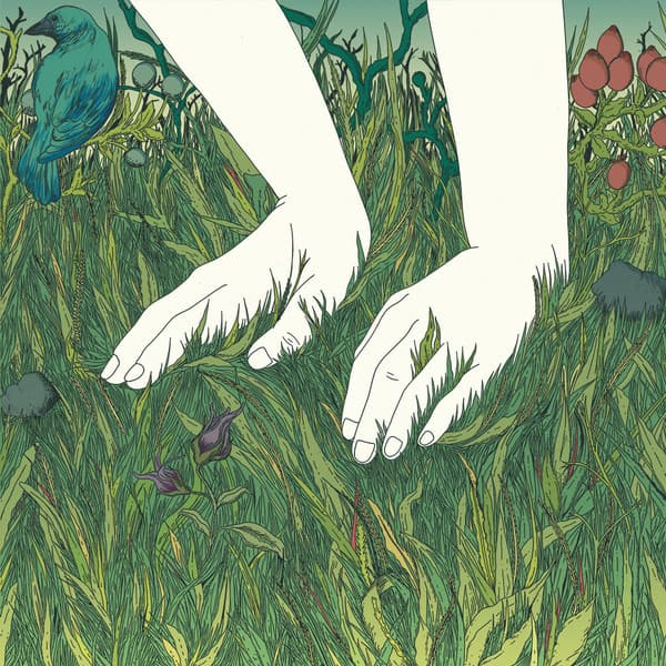 Hijo de la Tormenta — El Manto de la Especie