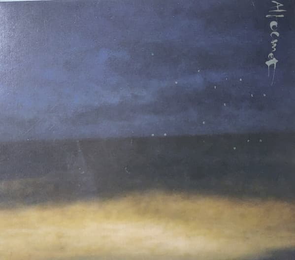 Altocamet — Surfista Nocturno