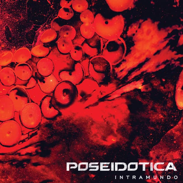 Poseidotica — Intramundo