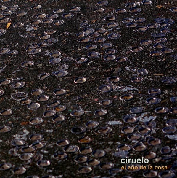 Ciruelo — El Año De La Cosa