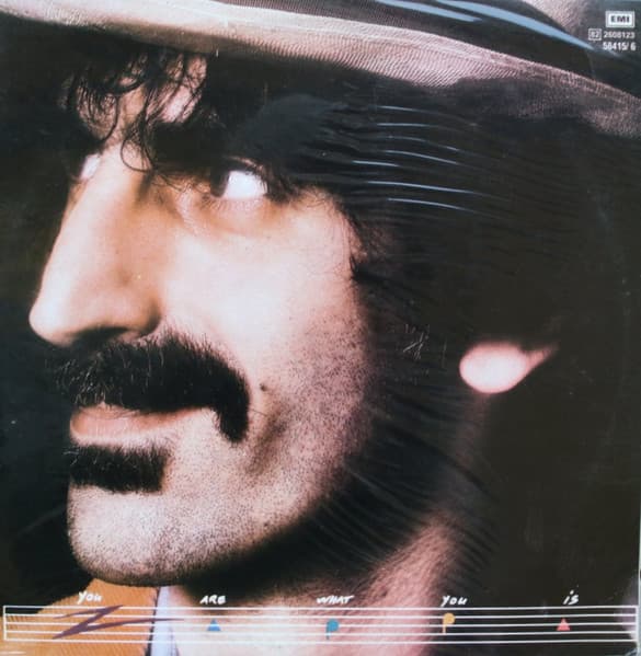 Frank Zappa — You Are What You Is