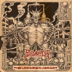Schizophrenia — The Unknown Legacy