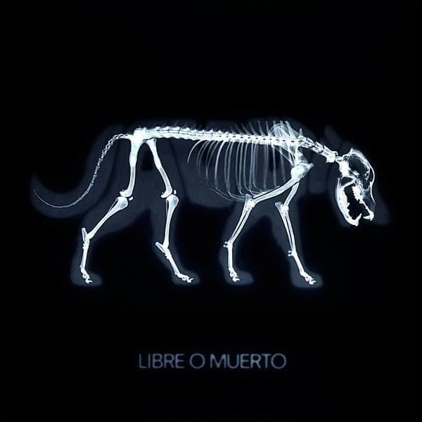 Jauria — Libre o Muerto