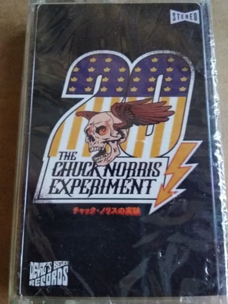 The Chuck Norris Experiment — 20