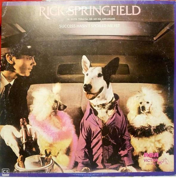 Rick Springfield — El Éxito No Me Ha Afectado Todavia