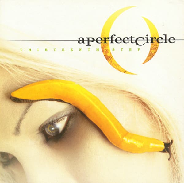 A Perfect Circle — Thirteenth Step