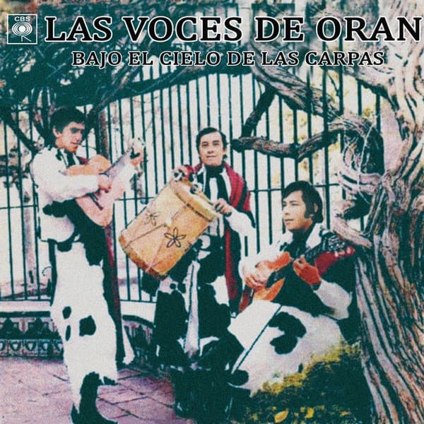 Las Voces De Oran — Bajo El Cielo De Las Carpas