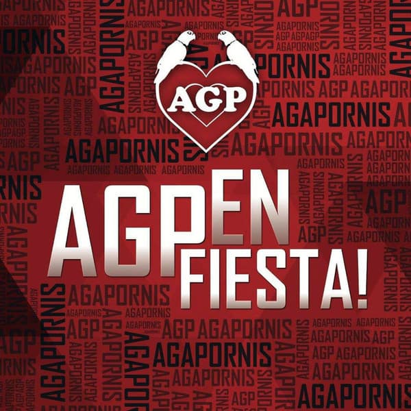 Agapornis — AGP En Fiesta!