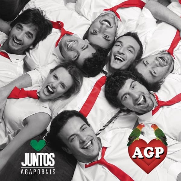 Agapornis — Juntos