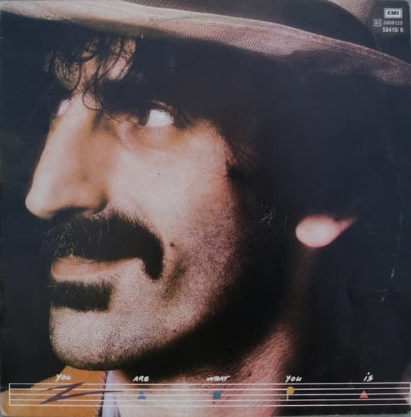 Frank Zappa — You Are What You Is