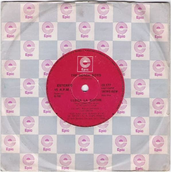 The Beach Boys — Llega La Noche = Here Comes The Night