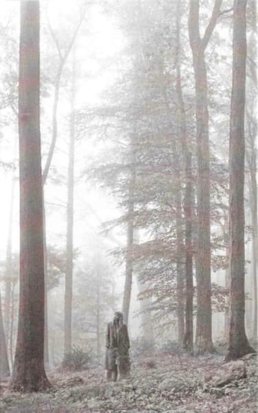 Taylor Swift — Folklore
