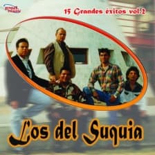 Los Del Suquia — 15 Grandes Exitos Vol. 2