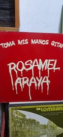 Rosamel Araya — Toma Mis Manos Gitana